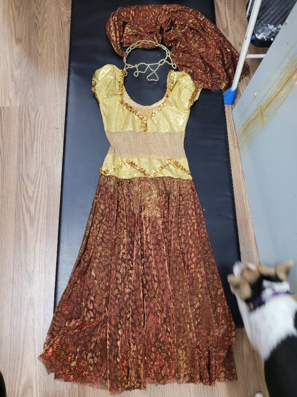 Arabian Princess Dance Costume with Matching Headpiece | Adult Medium | Recital